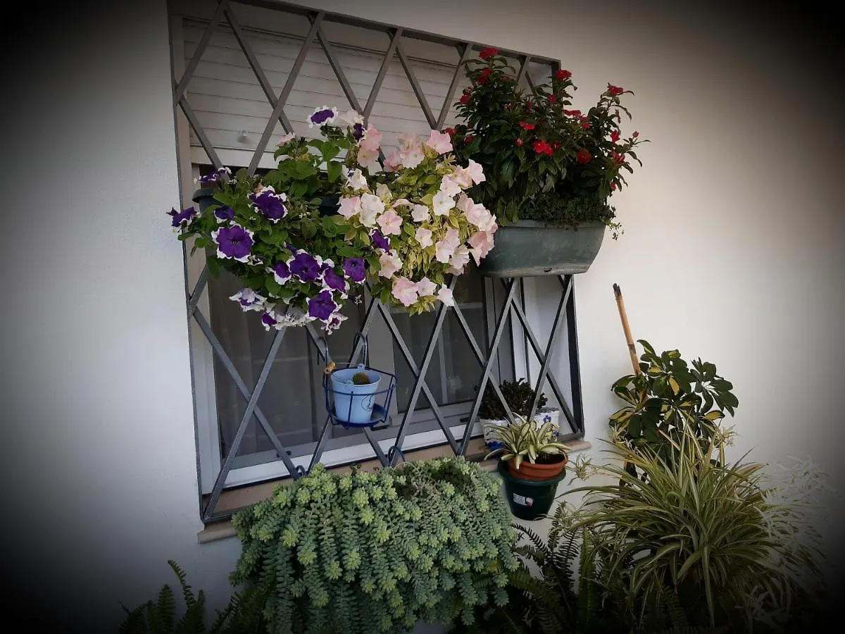 Holiday home Casa Rural Pariente El Real de la Jara